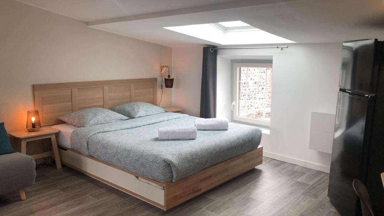 Jolis Appartements Au Coeur De Clermont Ferrand - Proche Jaude - Wifi Et Netflix Kültér fotó