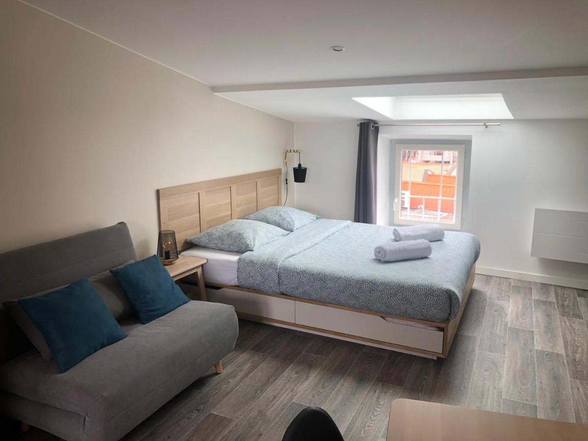 Jolis Appartements Au Coeur De Clermont Ferrand - Proche Jaude - Wifi Et Netflix Kültér fotó