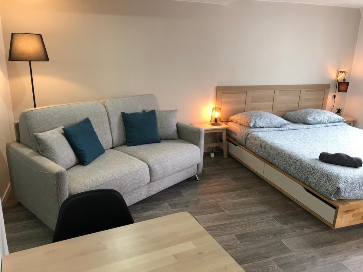 Jolis Appartements Au Coeur De Clermont Ferrand - Proche Jaude - Wifi Et Netflix Kültér fotó